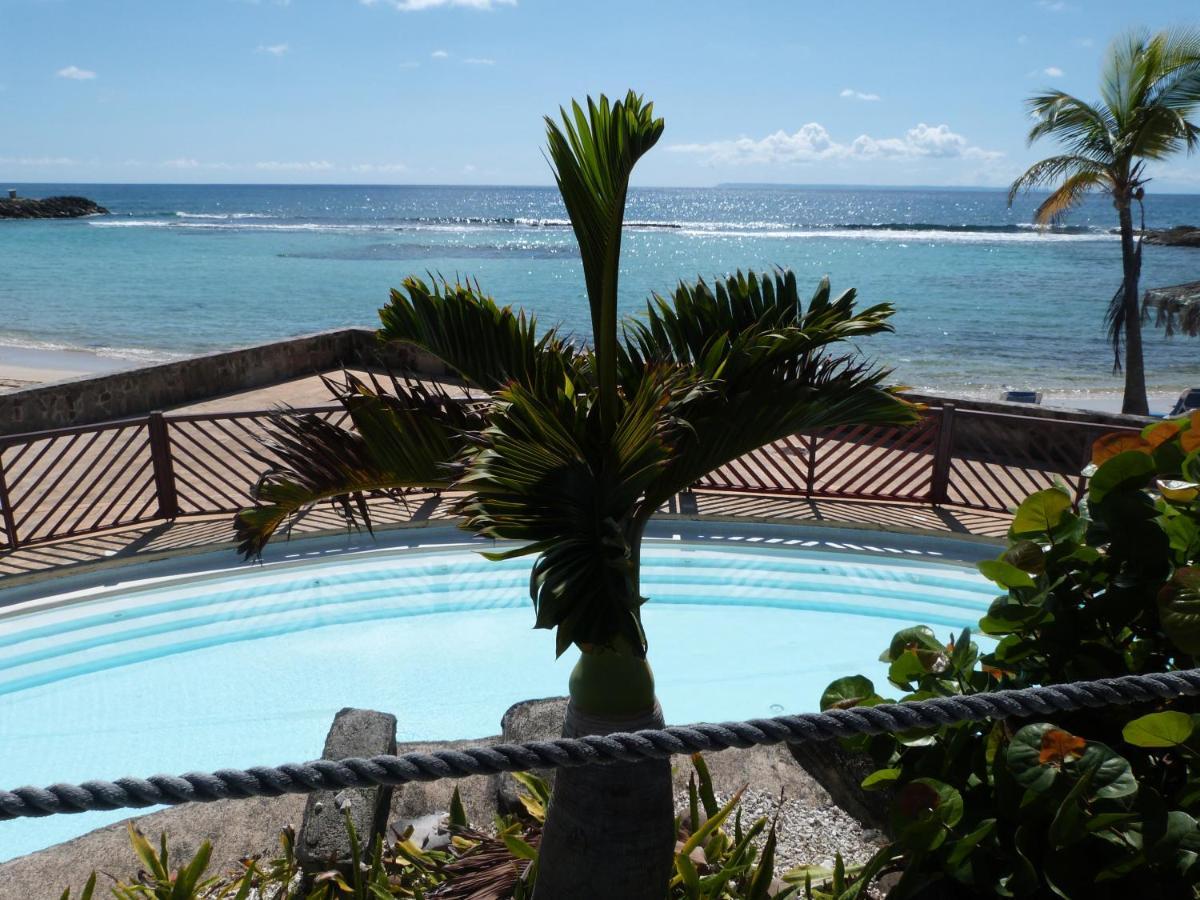 Studio Vue Mer Piscine Plage Kaz Punch Manganao Chez Julie Saint-Francois  Exteriér fotografie