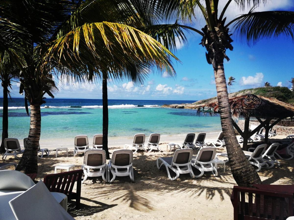 Studio Vue Mer Piscine Plage Kaz Punch Manganao Chez Julie Saint-Francois  Exteriér fotografie