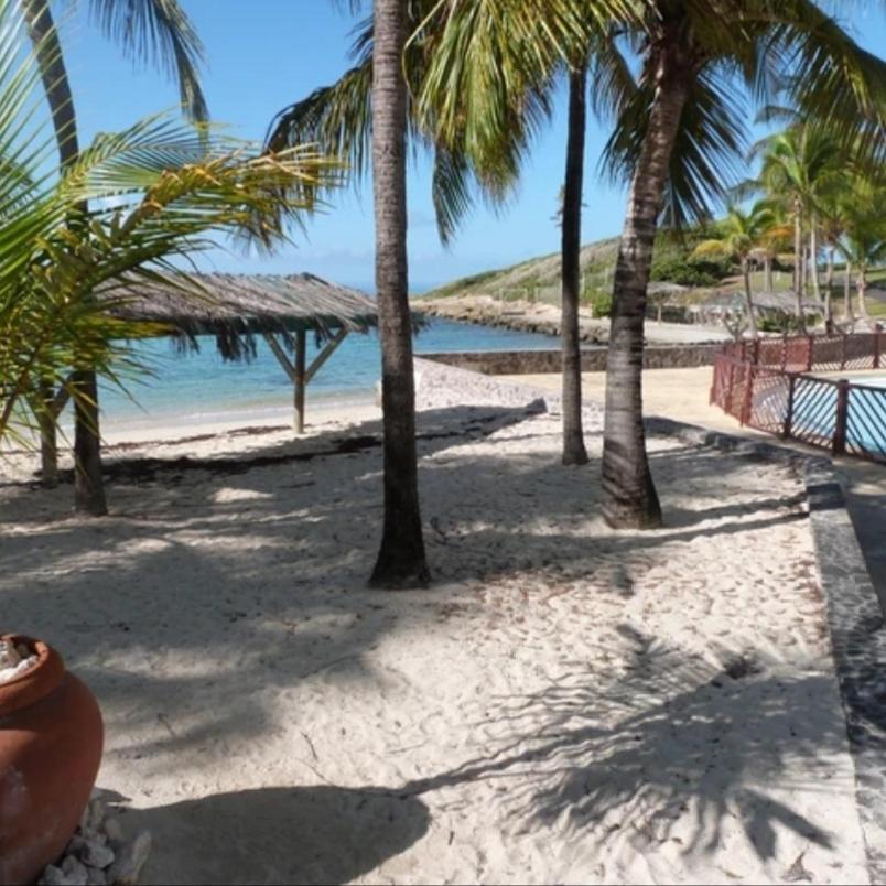 Studio Vue Mer Piscine Plage Kaz Punch Manganao Chez Julie Saint-Francois  Exteriér fotografie